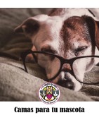 CAMAS PARA MASCOTAS