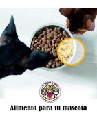 ALIMENTO